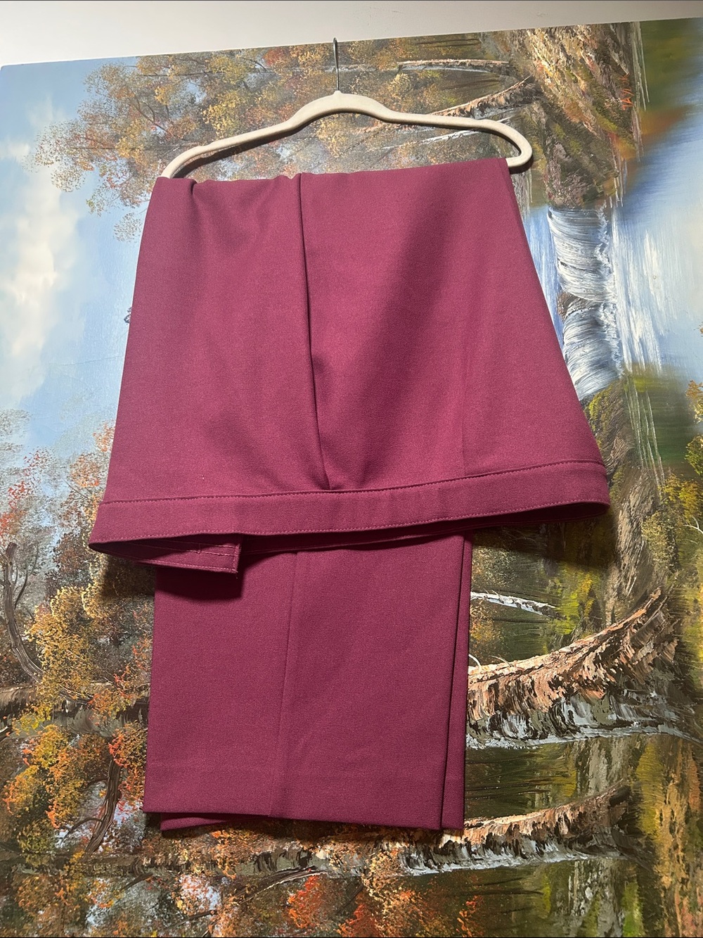 LASTING COMFORT Women Dress Pants.